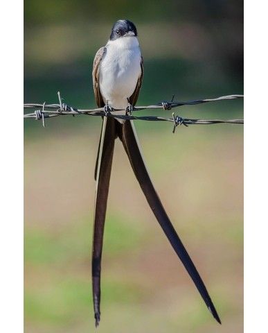 6e59c6ff40bfd8f899a5975b5664ddb8ef3acfc1