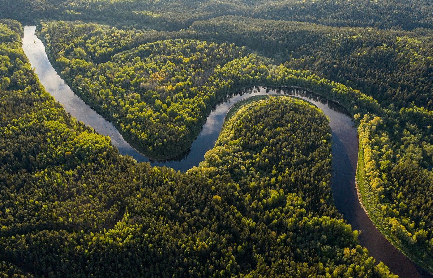 74d5c817a92fcefc6f66fc354537f1e58f3ad5f3