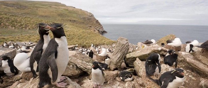 In Shackleton's Footsteps