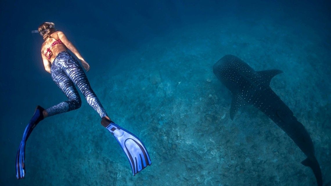 782f16c17321da9184bf0175461604ad5ff02e29