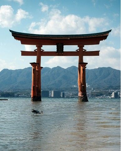 78a09f79de7d009b71dfff29f8dfba3acb6ff3d6