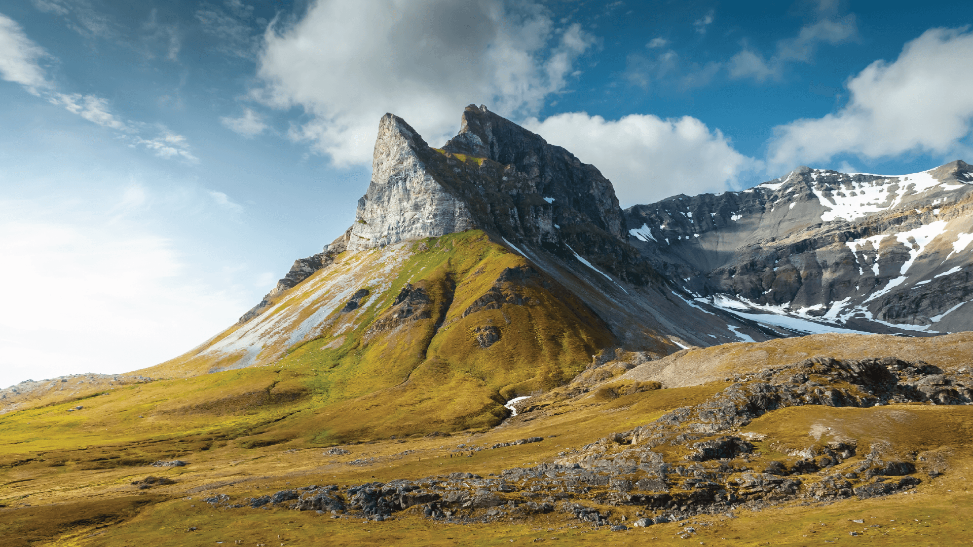 In-Depth Svalbard Cruise