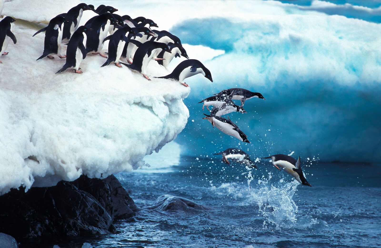 Antarctic Peninsula Discovery