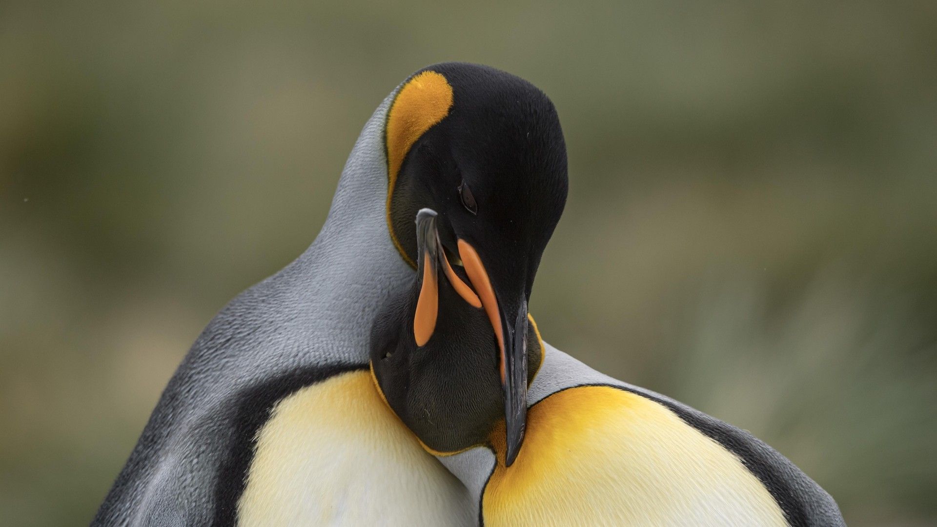 7c8586ef2087844146377823dcde4b5a4dc8e28d