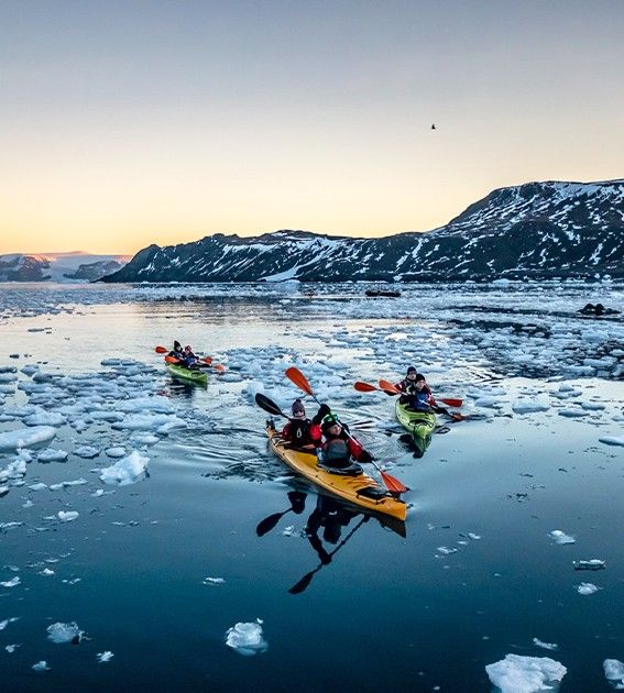 boat trips to antarctica