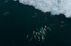 7eed0cc440730fd412b9274d13da5bd381ebdd2b