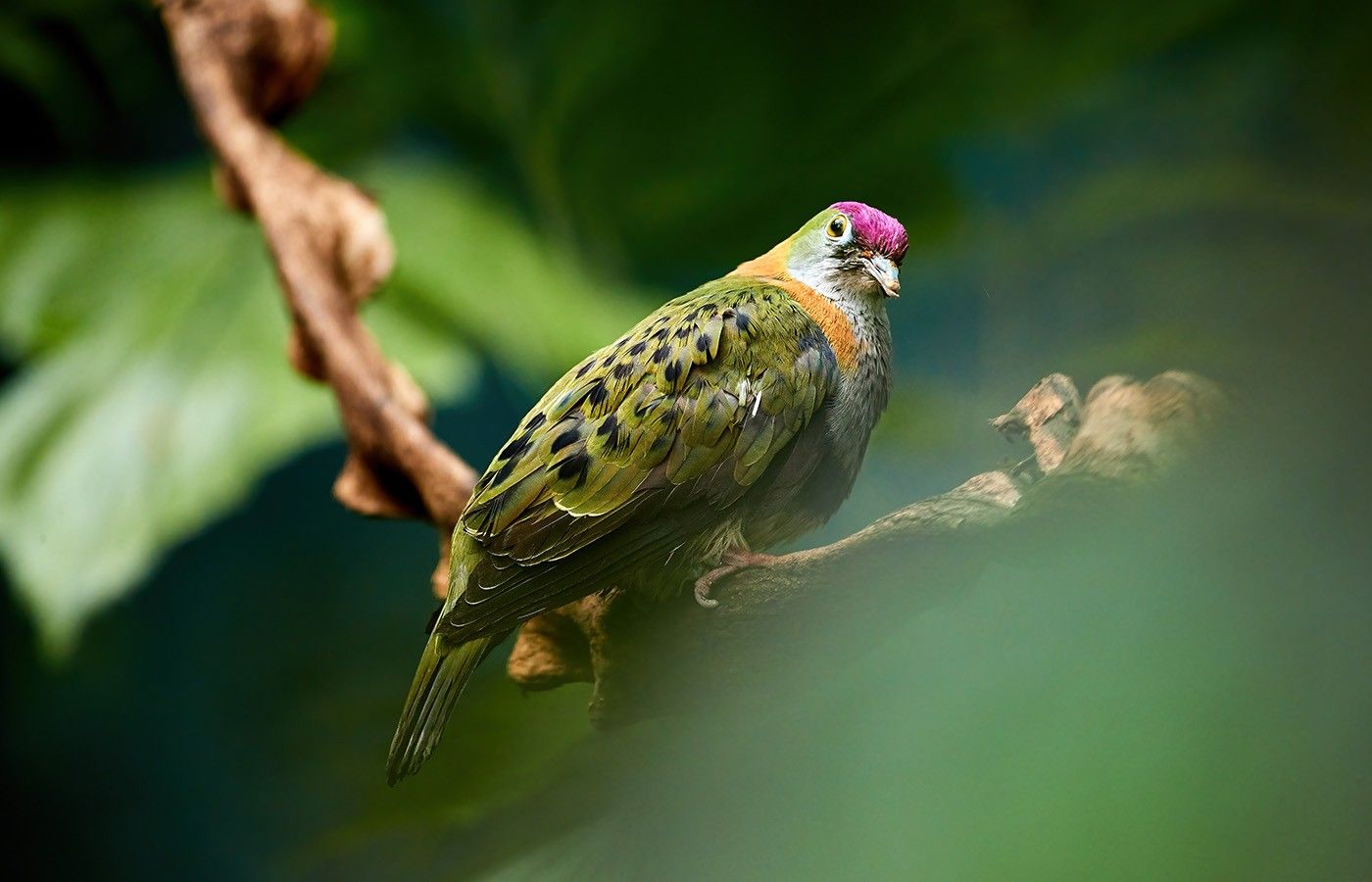 7f1d8e60ee0a11982da1d74025fe2607a939c354