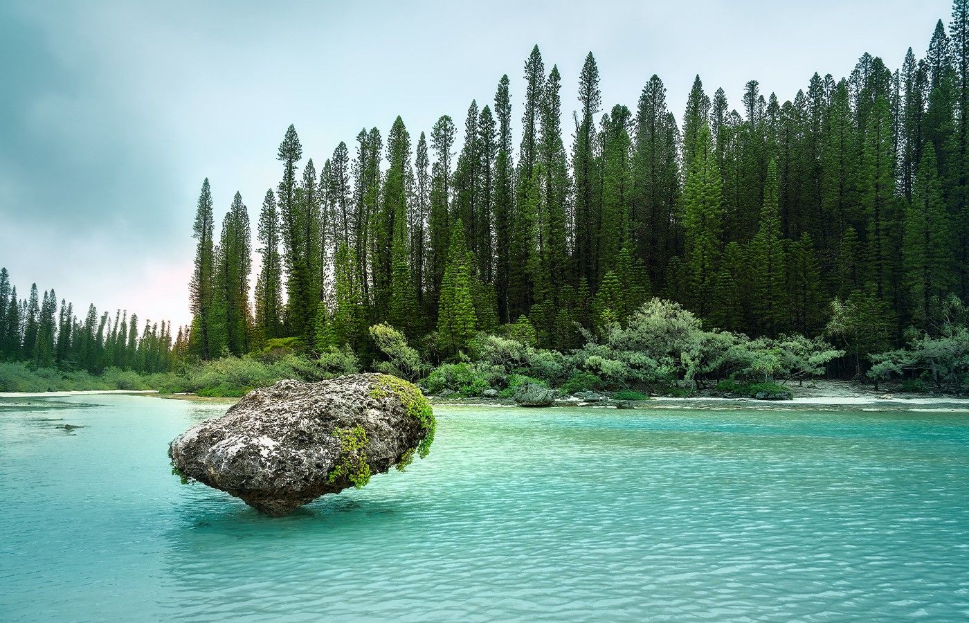 83cad2fe393cb4d80344a967bdaffa66fbd74b7f