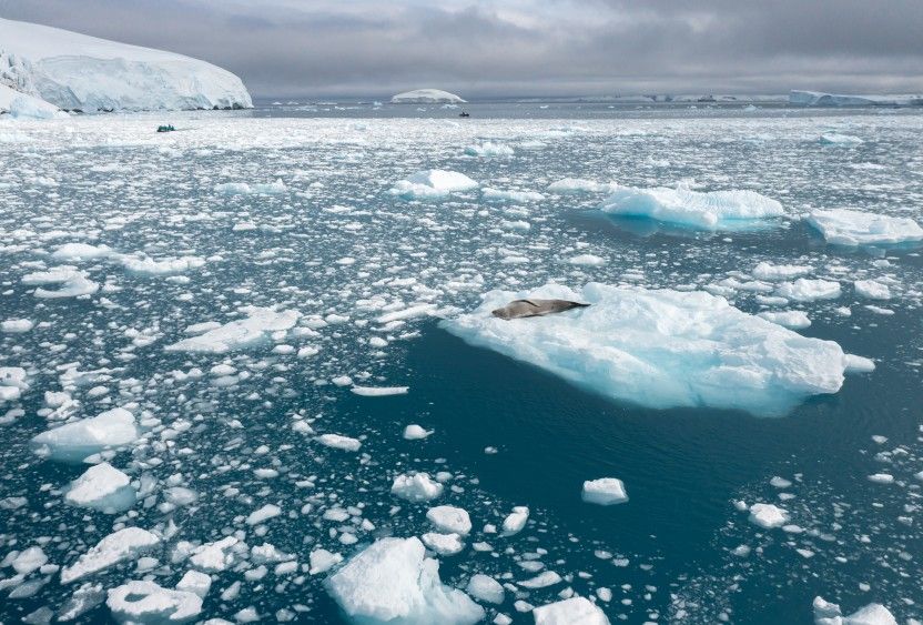 Climate action