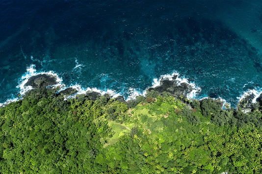 8d5dbd18c233a5e6f7e03549d7b4450ff54e0a28