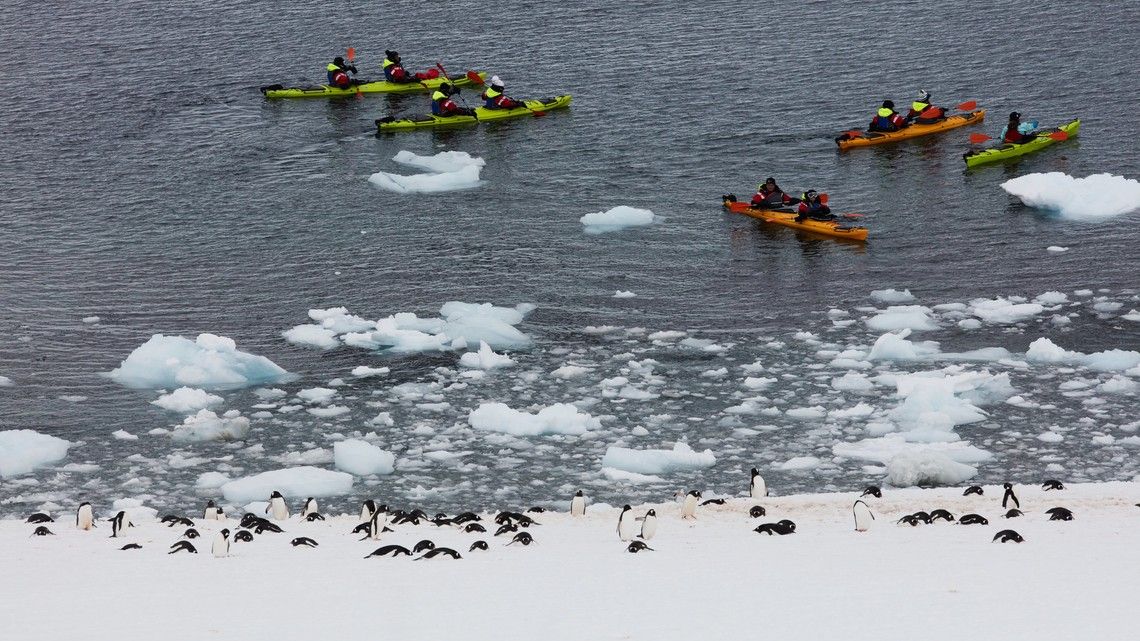 8d6cbf954036af5a0cba7526c8dbc1a2ce8590ef