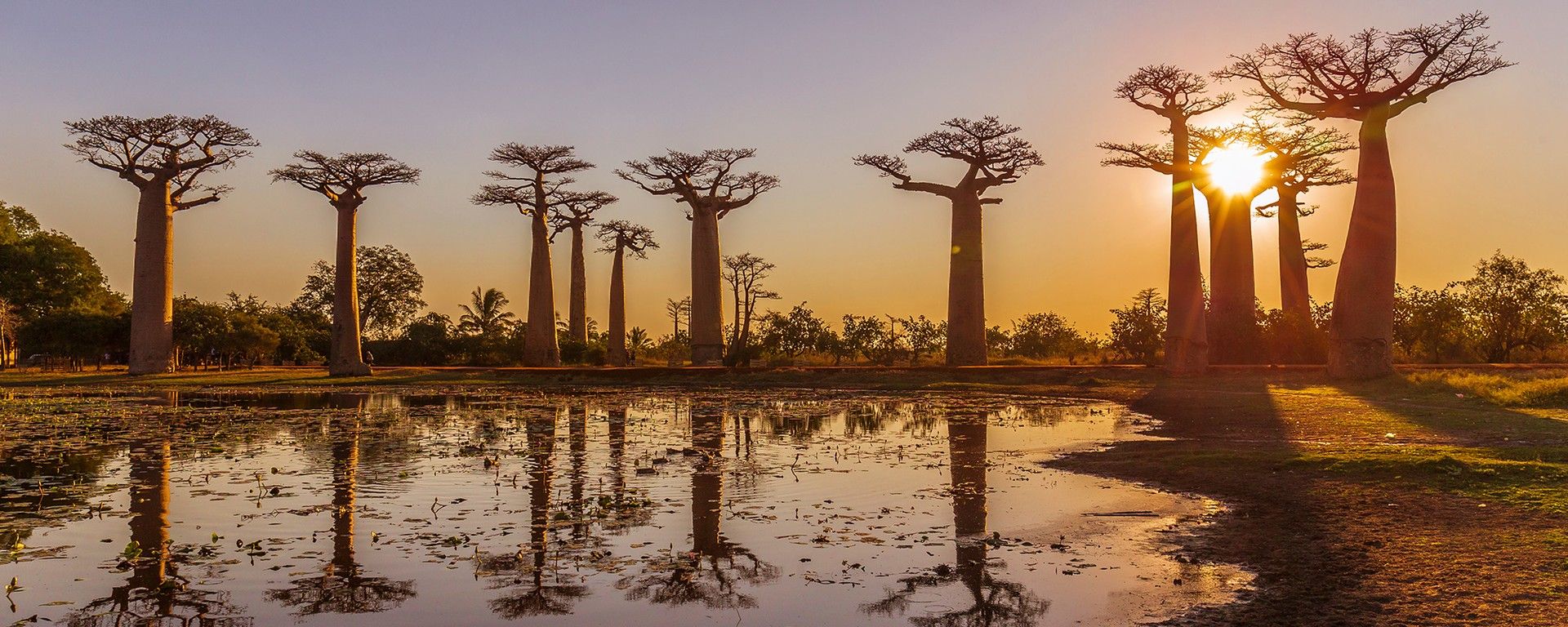 Madagascar and its Islands