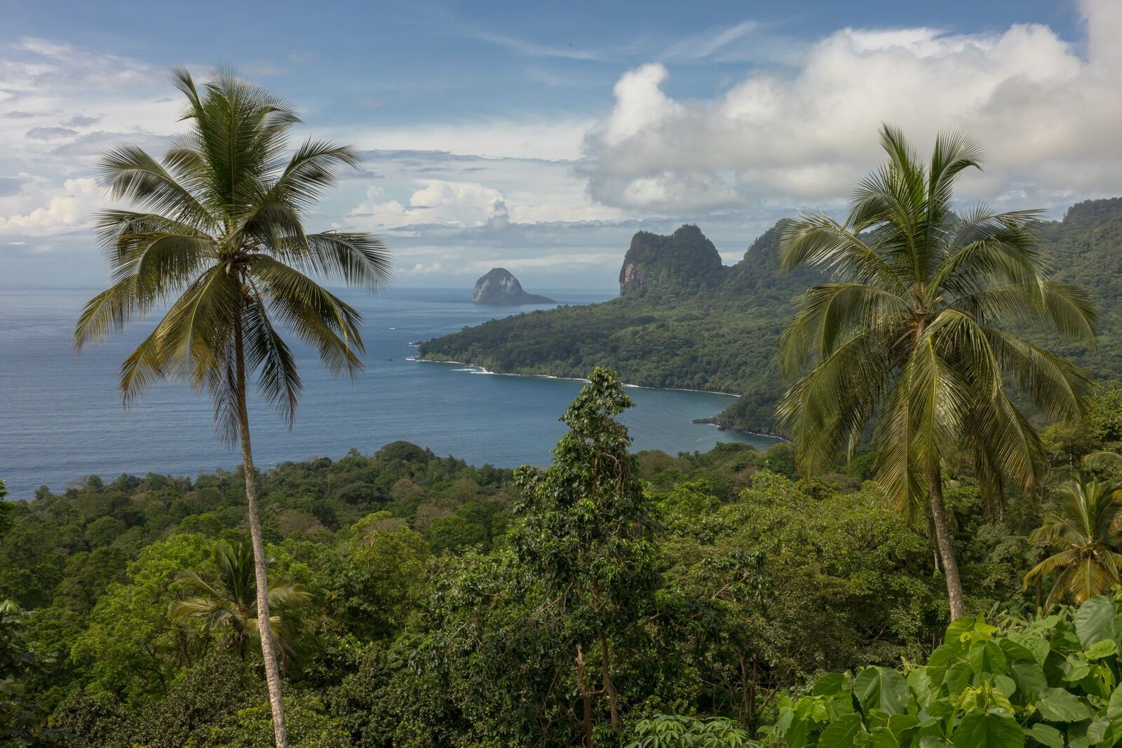 In Brazil: Unspoiled Beach Fit for the Chic - The New York Times