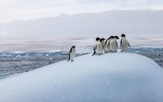 952705978b76f2dbb2d82d08bd8cf9b176f7236f