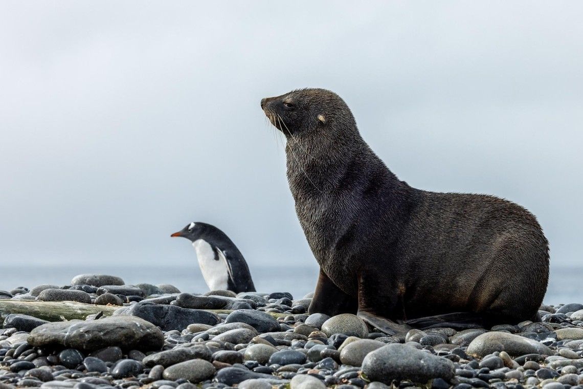 95315f86c4b47ce36fec20004c590b6cbb5c1050