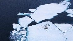 969803ff25075160250ab06390147c8c7f2898e3