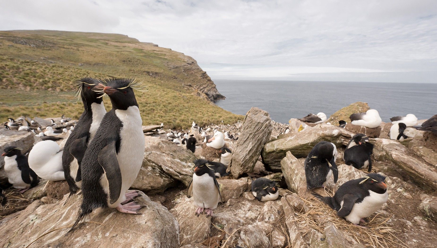 In Shackleton's Footsteps