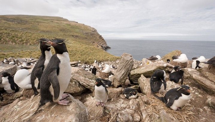 In Shackleton's Footsteps