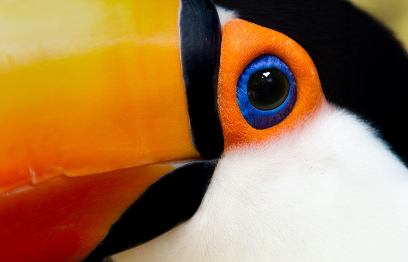 9b8153aa71f0dade782341313e234b0a277d802d