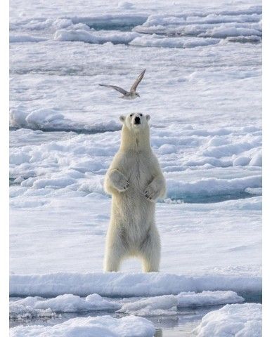 9ba95dd21728715d157b177d559799c3e618b9c5