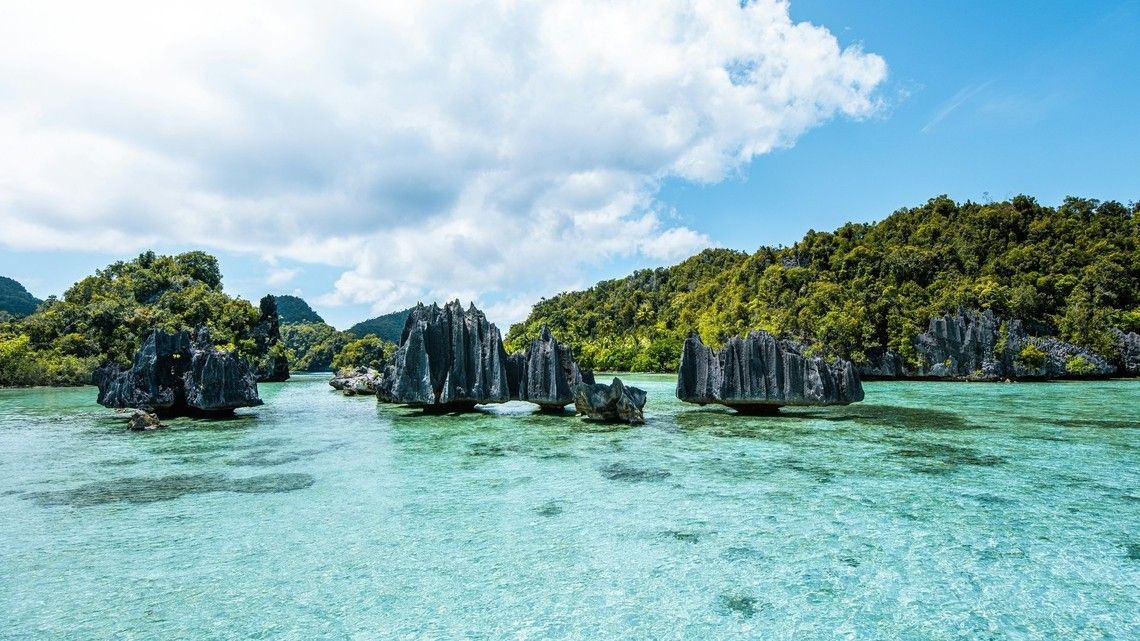 9ce813c5f0f170da444e97741401c423a4c165cc