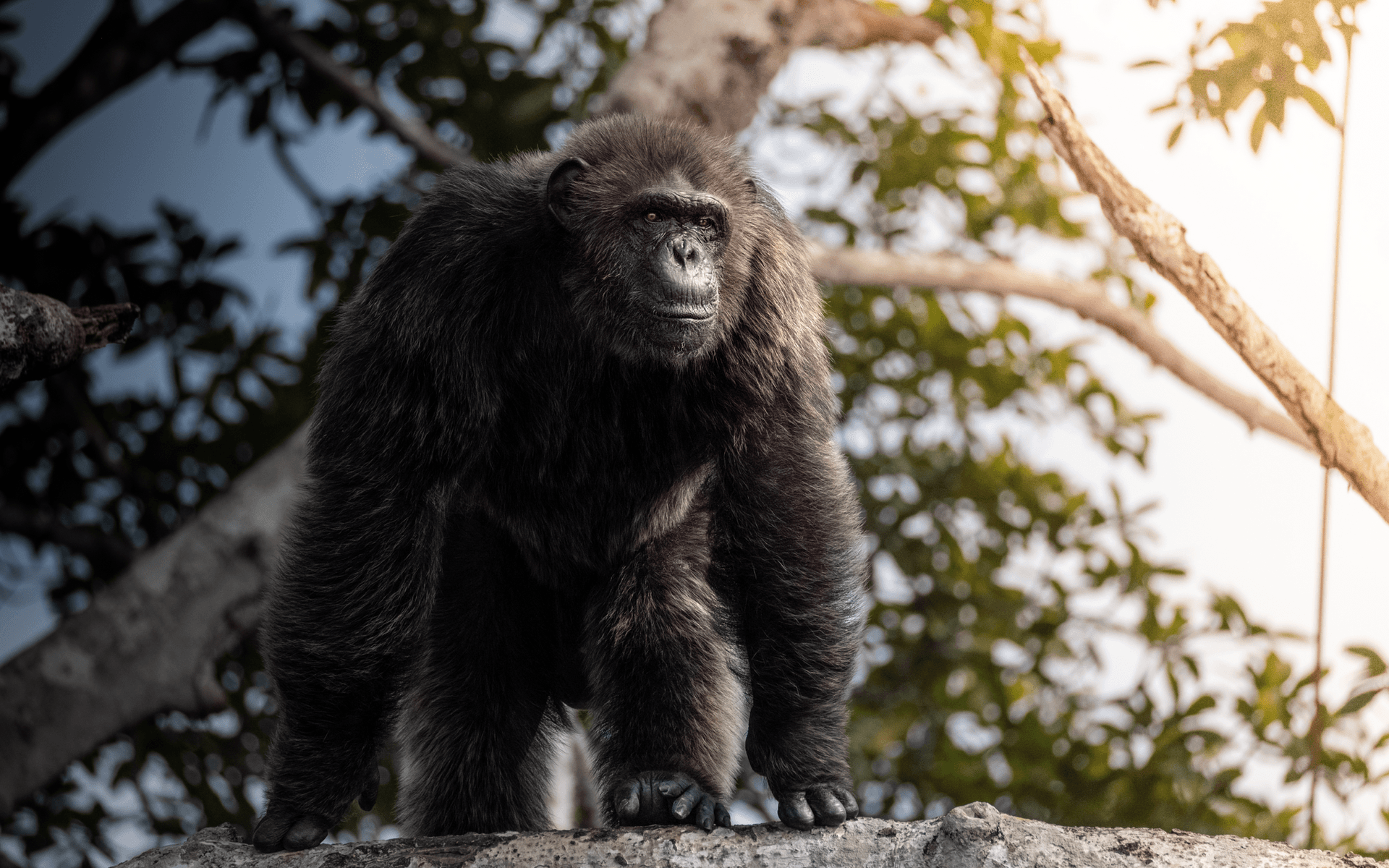 a1cdeada67c301b929e241c2ea27942fd79b462c