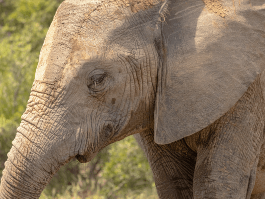 a5364ebc465aef5f8a949225554c2e1ca158f8aa