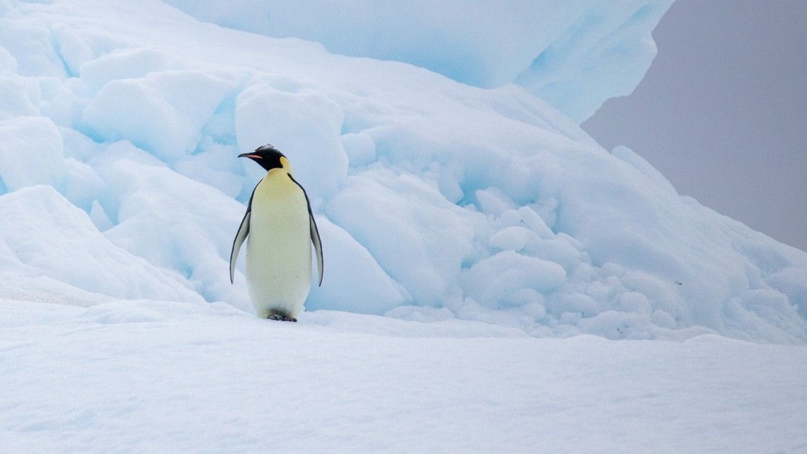 a864b807ec5fa90c150f4be3634a29984e11017d