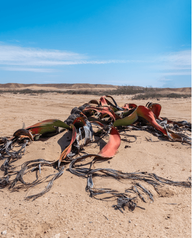 af2236fdecd4f604e2585f0763d69df32eb7f855