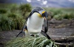 b01c4c3bae997192b242bde6eea8243daea361b0