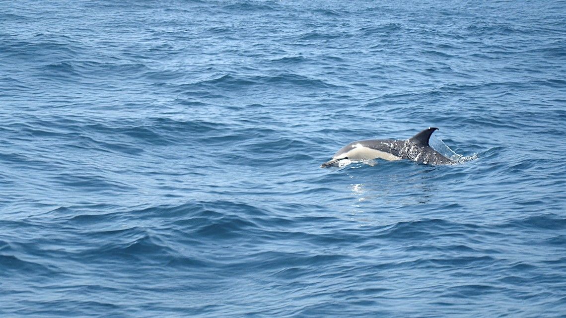 b2ee05b9778ca54f007d1bc35262dc7853f6313a