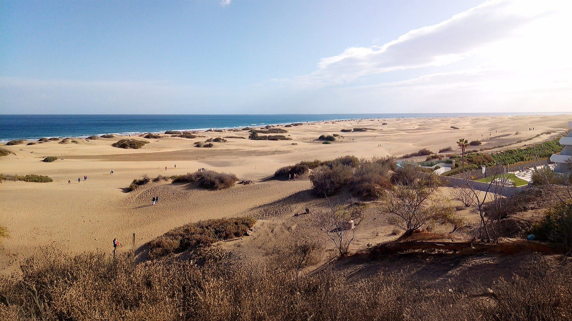 b375201cbf28b7dae0f1b5db057a027499f96257