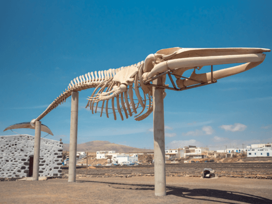 b4f5d1b08686014ce3babbfa6b44d2cf06b4379b