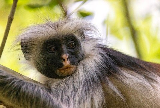 b53b0dfff70e2ffeabe6e593be28a50951622901