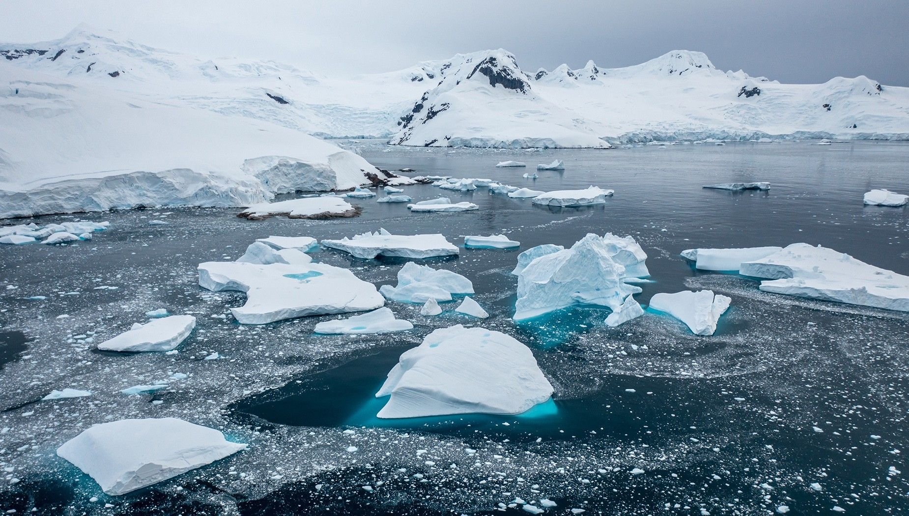 Weddell Sea Discovery