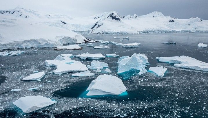 Weddell Sea Discovery