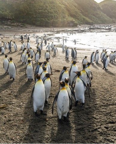 b86a2298f6c39d714426aa2d5255f3730bd5bfaf