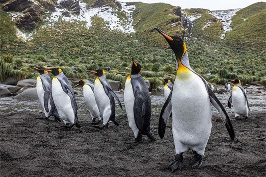 b9298234dd8144fb22b008bcf0488007bed9e458