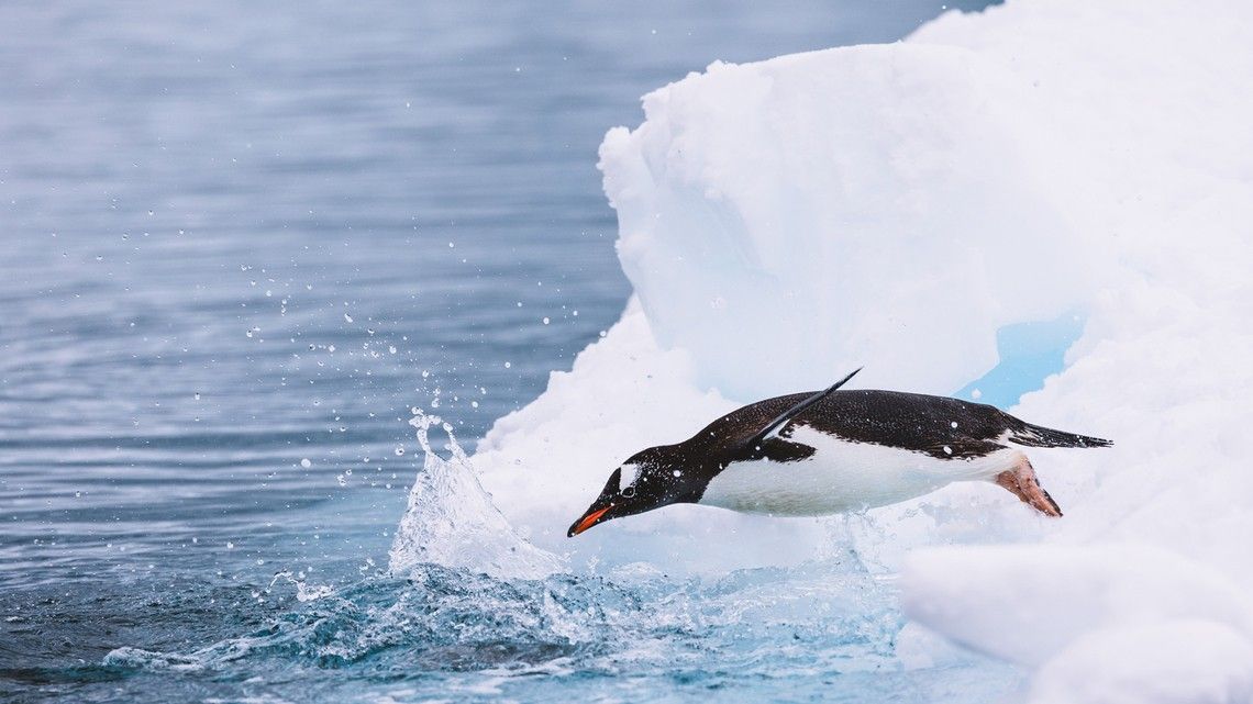 b9d0ebdd72daf78583122801195e9995fb03cc54