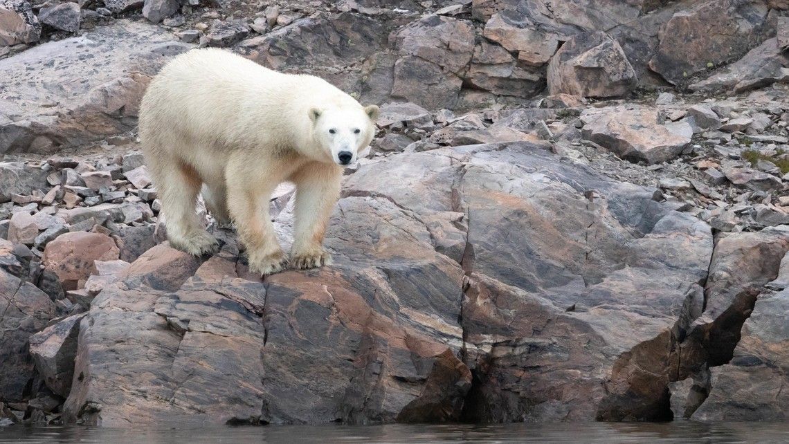 b9d709ffbfea7213501372b0d244b64a5bfc28f8