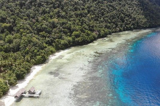 bcd158bd2790071f2a7b825c5a9d895b59399d72