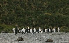 be04ae067c2938b985a8858fa5ad36fc891c7565