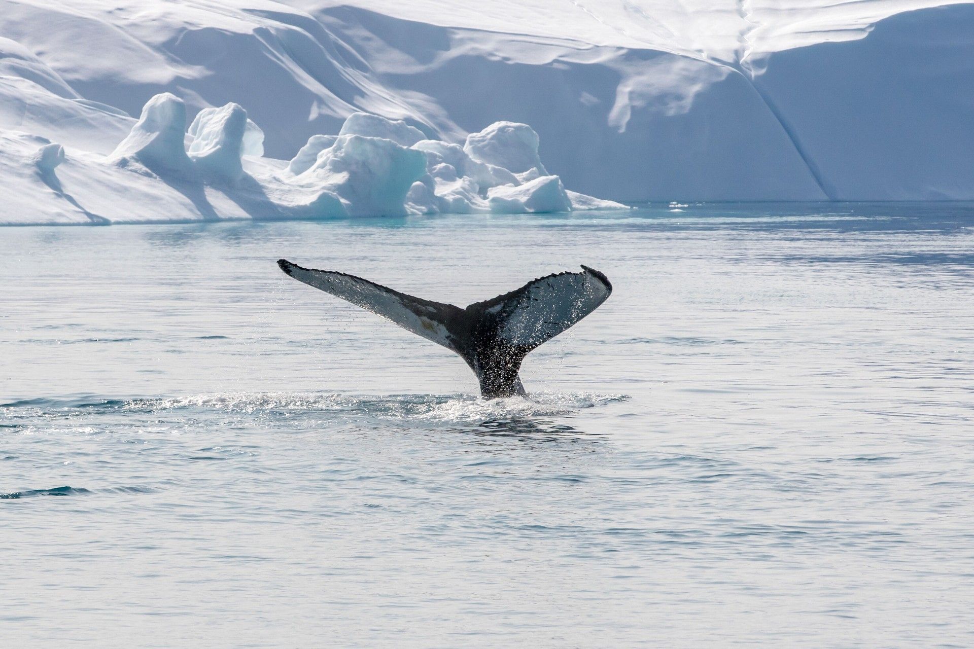 Beyond the Antarctic Circle