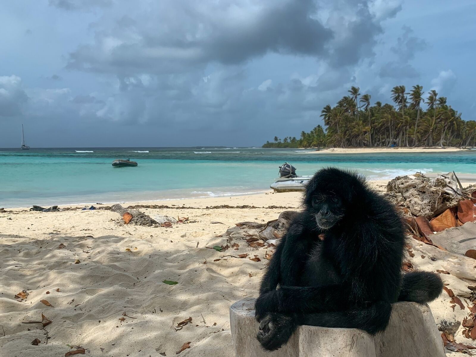 Holistic Escape, from Panama to Acapulco