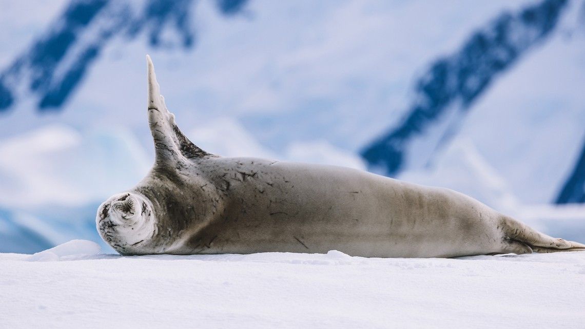 c421796aa6b0321cb923d945d44765aea8b1ce56