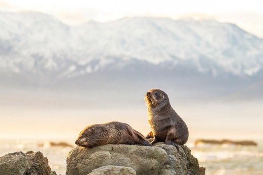 c94809c1d724ba3e3f82dace146e56840b9cd35b