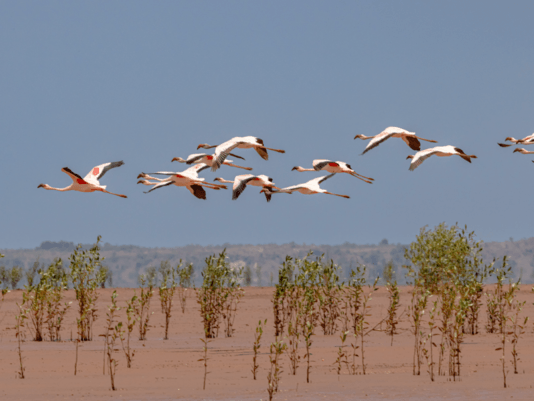 ce9fe87496dd7b7039f8e83d692cd567e736eec8