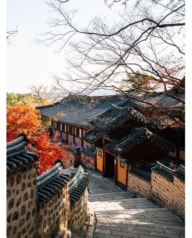 d069169b8cca601422cd82459771897f2591b388