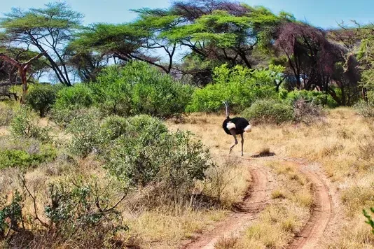 d1e9176446b0b5450f7857ed8e948497ffb6bf5c