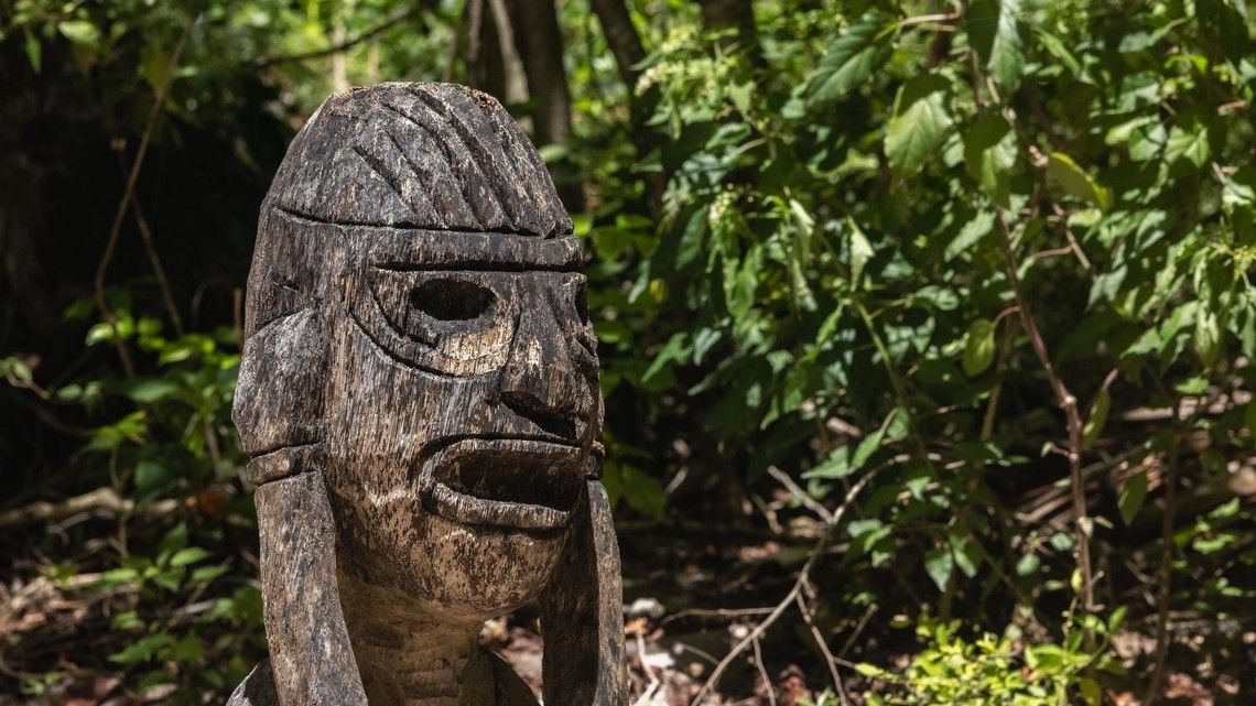 d29ff43a703b5ea4ce64512eb06efb3ff1785d50